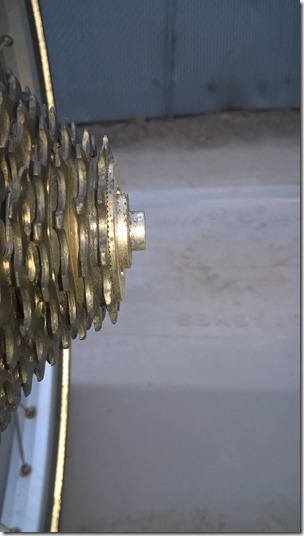 WP_20160421_20_16_38_Pro